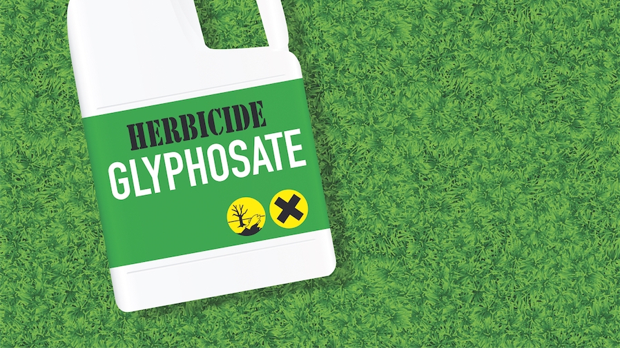 Dans les rayons, le glyphosate se raréfie